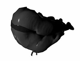 Beine über Kopf zum Boden bewegen