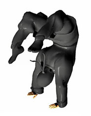 Kiten – Handsprung