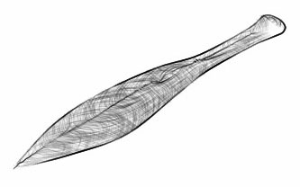 Yajiri